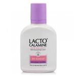 LACTO-CALAMINE OIL CONTROL 120ML